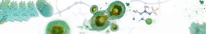 MHCombiotic